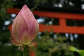 関西旅行記～2022 和歌山・かつらぎ町編～その1“世界遺産「紀伊山地の霊場と参詣道」”