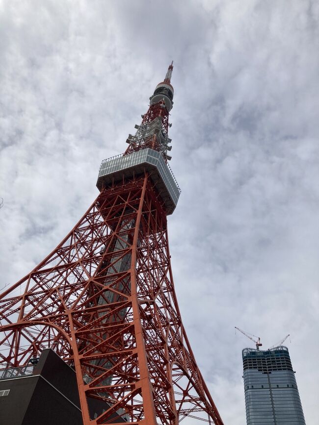 9月の下旬に沖縄旅行を計画していたのですが、<br />前々日に息子のコロナ感染が発覚…<br />泣く泣くキャンセルし、療養中にヤケクソになってこの東京旅を計画。<br />一家全員、元気になって行ってきました。