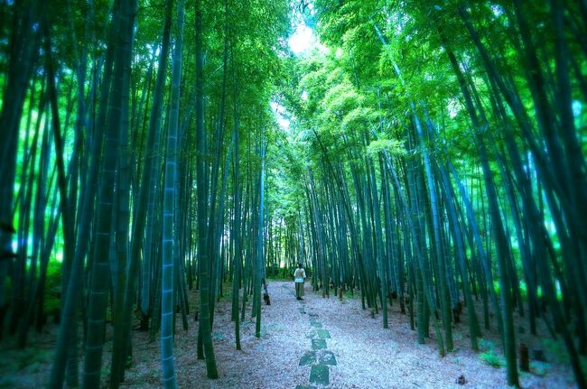 月岡温泉は、今年2回目。前回と同じ新発田市<br />にてオシゴト出張の足で、今回もお邪魔しまし<br />た。<br /> 前々から行きたかったのが「市島邸」。明治<br />初期の建築が観れる豪商の館で、ナント敷地面<br />積は八千坪!見応え充分!<br /><br />さらに前回、行けなかった街中のお店を制覇。<br />これまた愉しいレポートになりました!<br /><br />今回の月岡温泉のお泊りは、「ひさご荘」。<br />とってもホーミーな雰囲気の中で、お庭付の<br />客室露天風呂や貸切風呂、露天風呂など温泉三<br />昧過ぎる?一日を堪能できました!<br /><br />それでは、最後までご湯っくり!(笑)<br /><br />Q太郎