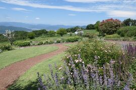 初夏の信州　薔薇紀行♪　Vol.88 ☆東御：ヴィラデストワイナリー初夏の花と薔薇の美しい庭園♪