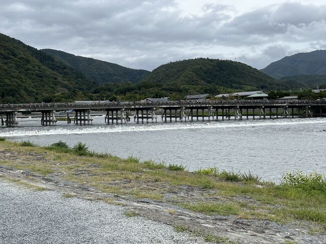 10月10日に娘のいる大阪に行くことになったので、ついでに息子のいる京都経由にしました。相方の行きたがっていた嵐山の王道観光コ-ス！<br />今回は子供達の冬物などを持っていく為、車で出発。助っ人運転手に免許とりたての息子2も同行することに。大丈夫かなぁ<br />トロッコ列車、保津川下り、天龍寺、御髪神社、野宮神社をまわり老松でお茶をし嵐山温泉花伝抄に宿泊しました。　<br />翌日、大覚寺を散策、今宮神社、三条近くで昼食、夕食は伏見で。<br />朝4時に起床、5時すぎに出発です。<br />山陽自動車道から名神から京都縦貫道道に入り大原野ICで下ります。息子2は出発から三木SAまで運転しました。渋滞にあい京都縦貫道になかなか入れずひやひやしました。