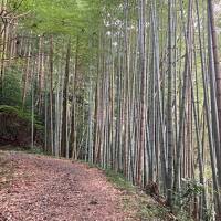 旧東海道、走ったり歩いたりする旅(府中宿～袋井宿)