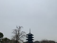 2泊3日冬の京都1人旅☃七福神巡り3日目①