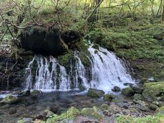 象潟ランチと元滝伏流水