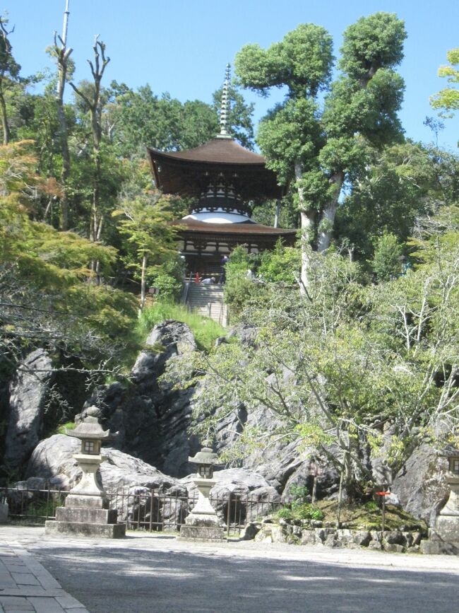  ９月下旬にマイカーを利用して一泊二日で、戦国時代に織田信長によって、一山焼き討ちに遭った比叡山とその周辺の神社仏閣巡りをして来ました。<br /> 観光先は、初日に比叡山三塔の内の、第３世天台座主慈覚大師円仁によって開かれた「横川エリア」から順次、釈迦堂を中心とした「西塔エリア」、根本中堂を中心とした「東塔エリア」の各寺院を拝観し、宿泊先のびわ湖プリンスホテルに向かう途中の近江神社を参拝しました。<br /> 翌日は遅めのチェックアウトにて、天台寺門宗の総本山で不死鳥の寺と言われる「三井寺」、それに東寺真言宗の大本山の「石山寺」を拝観して帰宅しました。<br />