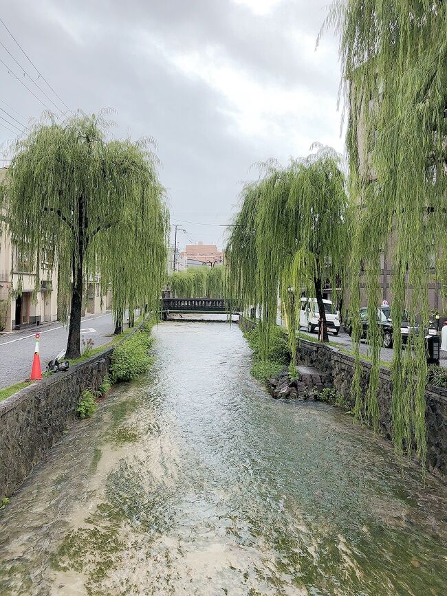 仕事帰りに京都 in 花ホテルへ