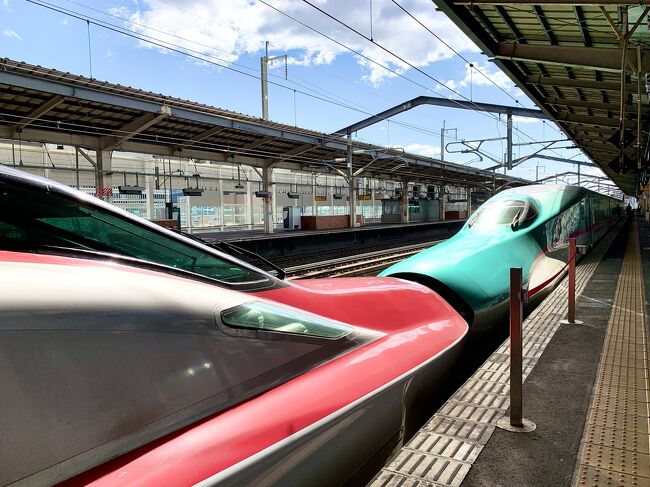 東京:新橋ー横浜間に鉄道が開通してから150年経った2022年の今年、JR東日本が管内の列車3日間乗り放題パス「JR東日本パス」を発売した。<br />3日間、全線乗り放題!<br />これは行かねばなるまい。<br />北は青森県、西は長野県までの広いJR東日本管内を3日間でどう巡ろうか。<br />旅行記第1弾は、東京から東北新幹線:やまびこで福島へ。