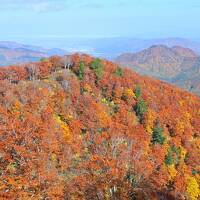 秋の東北３県紅葉巡り《３》～秋の宮温泉郷・湯けむりの宿 稲住温泉宿泊記＆こまち湯ったりロードの絶景～