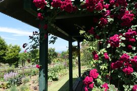 初夏の信州　薔薇紀行♪　Vol.95 ☆東御：ヴィラデストワイナリー初夏の花と薔薇の美しい庭園♪