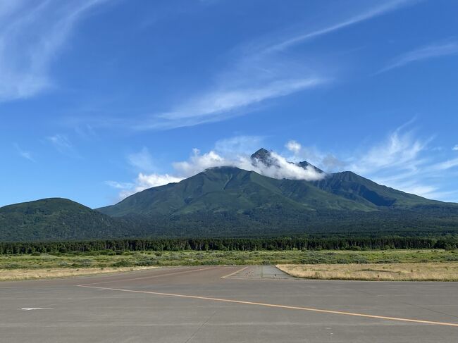 お盆の時期に稚内へ。<br />前半は礼文島へ、後半は宗谷丘陵と利尻島に立ち寄りました。<br /><br />■日程<br />・08月11日 羽田⇒稚内<br />・08月12日 稚内⇔礼文<br />・08月13日 稚内（★）<br />・08月14日 稚内⇒利尻⇒丘珠⇒新千歳⇒成田（★）<br /><br />■フライト<br />・羽田12:30⇒稚内14:20（NH573）<br />・利尻16:00⇒丘珠16:55（JL2884）<br />・新千歳20:15⇒成田21:55（MM588）<br /><br />■フェリー<br />・稚内06:30⇒礼文08:25/14/20⇒稚内16:15<br />・稚内11:10⇒利尻12:50<br /><br />■費用<br />・羽田⇒稚内 5,500マイル（マイレージプラス）<br />・利尻⇒丘珠 9,800円（先得割引タイプB）<br />・新千歳⇒成田 21,000円（シンプルピーチ・ファストシート）<br />・稚内⇒礼文 5,730円（1等指定）<br />・礼文⇒稚内 5,070円（1等和室）<br />・稚内⇒利尻 5,180円（1等指定）<br />・ホテル美雪 15,100円（ツイン16,600/クーポン▲1,500）<br />・宗谷パレス 33,200円（2泊・和室・夕朝食付37,200/クーポン▲4,000）<br />・トヨタレンタカー 20,850円（C2 基本22,500/免責3,300/クーポン▲5,000）稚内<br />・まごころレンタカー 6,000円（軽自動車・3時間）礼文