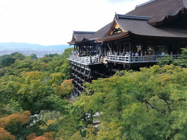 京都へ飲み＋ちょっと観光に。まだまだ行きたい飲み屋があるな～。