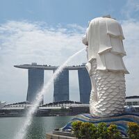 イビス シンガポール オン ベンクーレンに関する旅行記 ブログ フォートラベル Ibis Singapore On Bencoolen Hotel シンガポール