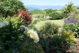 初夏の信州　薔薇紀行♪　Vol.103 ☆東御：ヴィラデストワイナリー初夏の花と薔薇の美しい庭園♪