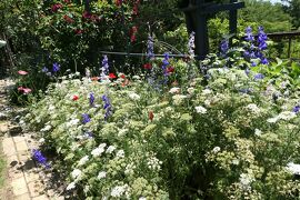 初夏の信州　薔薇紀行♪　Vol.105 ☆小諸：サムズガーデン　初夏の花と薔薇の美しい庭園♪