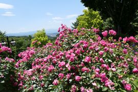 初夏の信州　薔薇紀行♪　Vol.113 ☆小諸：サムズガーデン　初夏の花と薔薇の美しい庭園♪