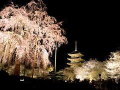 春爛漫の京都2泊3日 ①　嵐山・トロッコ・東寺ライトアップ