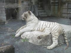 ★オータムナイトＺＯＯ「東武動物公園」★－その１－　昼の部：園内ぶらぶら歩き