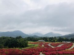 サンライズ瀬戸と讃岐前フリ旅（前編）