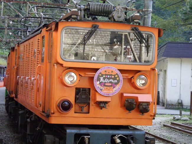 ※写真は黒部峡谷を走るの電気機関車 <br /><br />4月に行った時、クロヨンの放水を見ておかなくてはと思いツアー参加<br />https://4travel.jp/travelogue/11751896<br />放水は10月15日（明日）までなのでギリです<br /><br />４月は参画したプロジェクトが実はブラックで、業務内容、休出、残業がひどく、覚悟を決めて「離脱宣言」をして、翌日から抜けさせてもらいました<br />「行くも地獄戻るも地獄」といいますが、戻ってみると天国でした、覚悟していた解雇もされず、もうすこし電脳ジジイでやってゆく所存でございます<br />善光寺にお礼参りに行かなくては<br /><br />今回服装で悩んだのでメモ<br />・長袖Ｔシャツ<br />・半袖Tシャツ（長袖Tシャツの上に）<br />・フリース<br />・ウインドブレーカー（帰りのトロッコで使用）<br />・ジーンズ<br />・ライトダウン（結局　使用せず）<br /><br /><br />