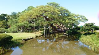 金沢市周辺の神社巡りと定番観光④（金沢市編）