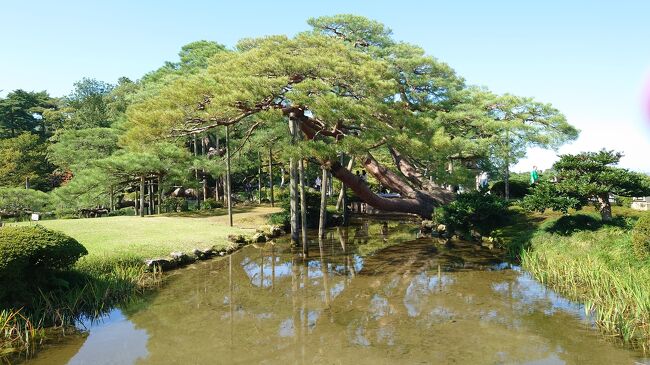 神社と観光地に行きたいなと思い、以前から気になっていた神社と金沢市観光へ！（初めての石川県訪問）<br /><br />【関連旅行記】<br />金沢市周辺の神社巡りと定番観光①（気多大社編）<br />https://4travel.jp/travelogue/11785106<br /><br />金沢市周辺の神社巡りと定番観光②（金沢市編）<br />https://4travel.jp/travelogue/11785235<br /><br />金沢市周辺の神社巡りと定番観光③（白山比咩神社・金劔宮編）<br />https://4travel.jp/travelogue/11785472