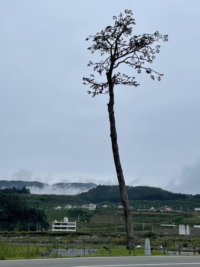 2022年9月 震災から11年経った東北沿岸部を訪問。