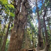 2022　10月　娘夫婦と山形4人旅　②　今日は最上川船下りからの肘折温泉大友屋旅館泊