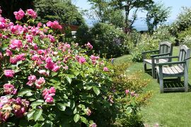 初夏の信州　薔薇紀行♪　Vol.130 ☆小諸：サムズガーデン　初夏の花と薔薇の美しい庭園♪