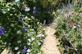 初夏の信州　薔薇紀行♪　Vol.131 ☆小諸：サムズガーデン　初夏の花と薔薇の美しい庭園♪