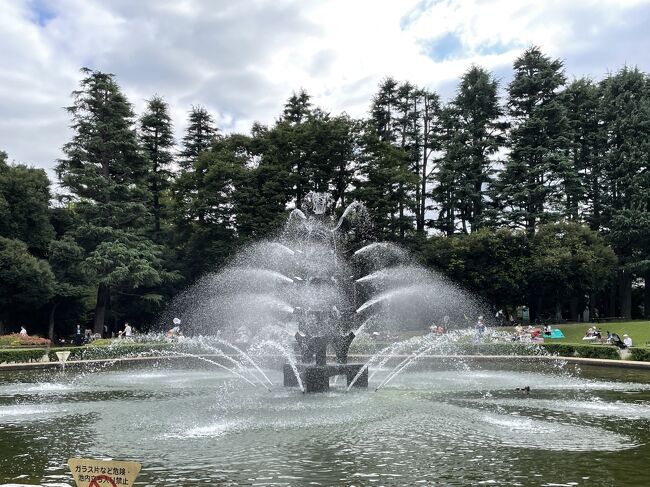 孫を渋谷方面に送る途中どこかで遊んでいこう・・といろいろ考え、広くはないけど一応駐車場もあるし・・と世田谷公園に行くことにしました。<br />まずはランチ。公園近くの「Knot 三宿」という複合施設内の森山珈琲に行ってみました。<br />世田谷公園はそんなに大きな公園ではないけれど、2歳児が遊ぶには充分。<br />展示されているD51を見たりミニSLに乗ったり・・楽しい午後の一時を過ごせました。<br />
