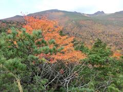 那須ホレルサンバレーに4泊5日して紅葉の絶景を楽しむたび