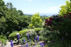 初夏の信州　薔薇紀行♪　Vol.136 ☆小諸：サムズガーデン　初夏の花と薔薇の美しい庭園♪