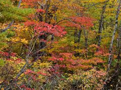 デコ平湿原の紅葉2022～赤、朱色、橙、黄の混じる素晴らしい紅葉～（福島県裏磐梯）