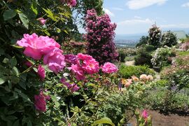 初夏の信州　薔薇紀行♪　Vol.151 ☆小諸：夢ハーベスト農場　初夏の花と薔薇の美しい庭園♪