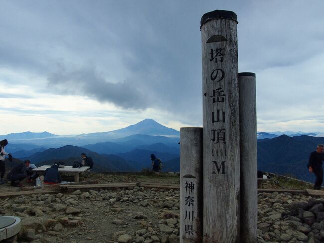 2022年10月、神奈川県の丹沢塔ノ岳（標高1491M）に登りました。念願のヤビツ峠から表尾根コースでの登山です。昨年12月に鍋割山コースで塔ノ岳に登りましたが、今まで登った山で一番しんどい山でした。いつかは表尾根コースで登りたいと思ってましたが、何とか登頂することができました。走行距離約14.4KM、歩行時間約7時間30分です。<br />