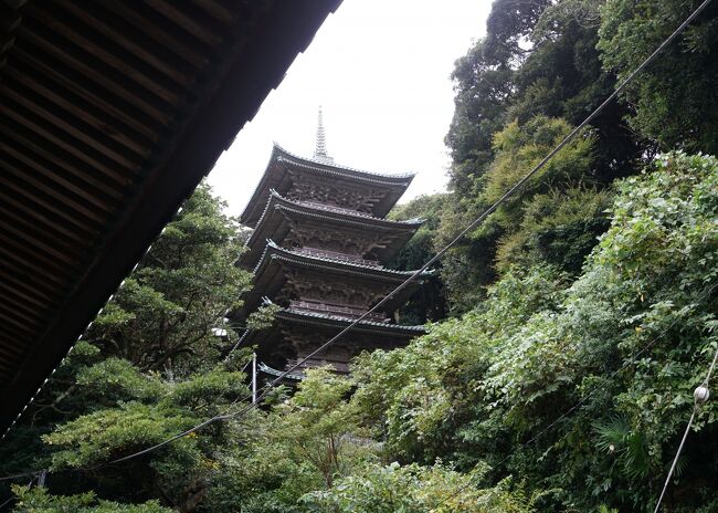 2022.10 日蓮宗本山めぐり（龍口寺・妙法華寺・本立寺・妙純寺）