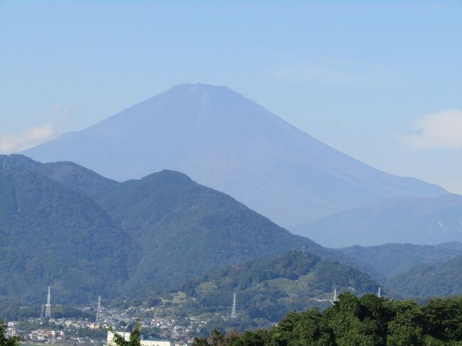 　今朝は天気が回復して富士山が見えているが先日（10/19、20）の秋晴れ（https://4travel.jp/travelogue/11785917）ほどは空は澄んではいない。<br />　8:30頃にJR松田駅で下車して、駅から西平畑公園駐車場まで上る間に富士山を見ていると少しづつではあるが、雲が湧いて来ている。これでは午後には富士山は雲に隠れる可能性があるだろう。<br />　西平畑公園駐車場から奥にあるコキアの里を目指し、戻って来た11時前にはかなりの雲だ。左側の少し大きめの雲が掛かると富士山山頂は見えなくなるであろう。それは15分後か？30分後か？<br />（表紙写真は西平畑公園駐車場から見る富士山）<br />　