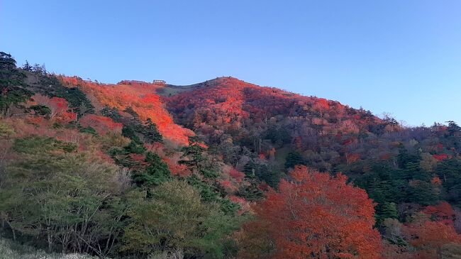 徳島県の「剣山」へと向かいました。<br /><br />「全国旅行支援」キャンペーン中、前泊する徳島市内のホテルに空きが見あたりません。<br />リゾートタイプのホテルは空いていたのですが山行目的の宿泊では、手が出ない金額。<br />剣山へのアクセスを徳島から高知へと計画変更してホテル検索。<br />するとビジネスホテルの空きが見つかり「コンフォートホテル高知」に決定！<br /><br />高知からJR「土讃線」で大歩危へ移動<br />大歩危駅から路線バス（四国バス）で「久保」まで向かいここでまた路線バス（三好市営バス）に乗り換え「二重かずら橋」で下車。<br />バスを2本乗り継ぎバス乗車約2時間の乗車。<br /><br />「二重かずら橋」を11:00スタートして「剣山」へ<br /><br />稜線に出るとまるで空中散歩のような長い稜線が続き気持ちの良いよく山歩き<br /><br />剣山頂上からリフト乗り場まで下った箇所に「西島キャンプ場」があります。<br />ここでテント幕営して一泊。<br /><br />翌朝03:00頃、起き出し夜空を眺めると満天の星空<br /><br />そして翌日がピークの「オリオン座流星群」の前日でも流れ星を観ることができ明け方は「ISS」もしっかりと観察（写真はうまく撮れませんでした）<br /><br />そしてご来光を見て剣山周りを散策して下山。<br /><br />復路も行き同様に高知へ出て「高知竜馬空港」から帰ってきました。<br />天気に恵まれとても良い山行となりました。<br /><br />