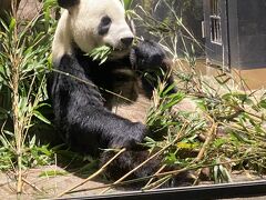 アメ横・上野公園・上野動物園・人・人・人！！凄い人出の日曜日