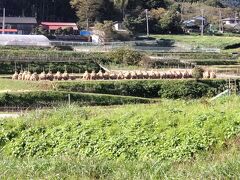 8-奥奥州･仙台道 福島学院前駅～越河駅 (10/21 20km)