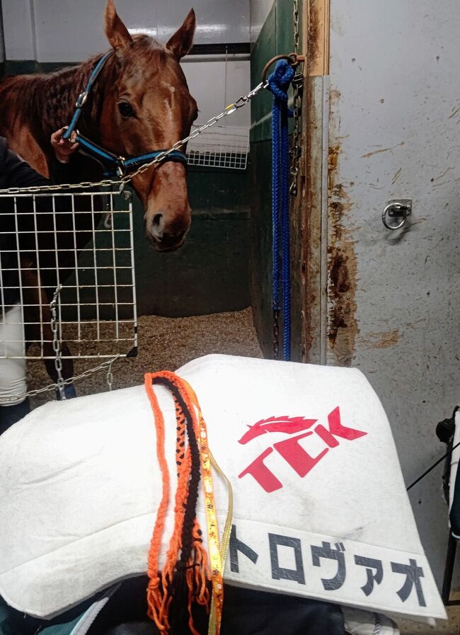 ダート競馬とTCKこと大井競馬場をこよなく愛する宮古珊瑚が、大井競馬場で通常入ることができない場所も楽しめるスペシャルプラン｢推し旅｣を満喫してまいりました体験レポートです。<br />