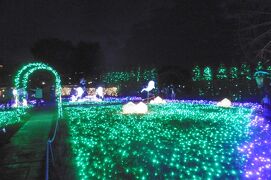  ★オータムナイトＺＯＯ「東武動物公園」★　－その３－ホワイト・タイガー"夜の"「おやつタイム」と、きらめきの遊園地