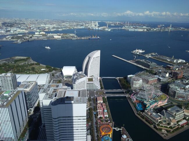 Go to トラベルで横浜に行ってきました。山下公園を散歩し、クルーズをしたあと、ランドマークタワーでランチ！地域振興券で来年の手帳とチャーシュー買いました。有効に使ったわ～！