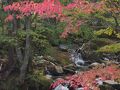 滝メグラーが行く２５１　色づき始めたちくさ高原の紅葉と千種町滝めぐり（１）　兵庫県宍粟市千種町