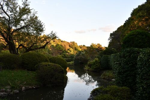 茗荷谷から小石川植物園へ』大塚・巣鴨・駒込(東京)の旅行記 茗荷谷から小石川植物園へ』大塚・巣鴨・駒込(東京)の旅行記