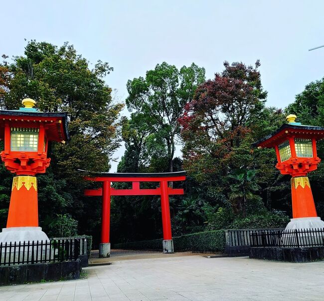 シニアトラベラー！丹三郎と井草八幡宮満喫の旅②