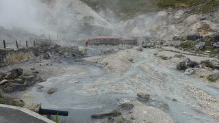 ６月の北東北　残雪、新緑、秘湯を巡る旅　５．玉川温泉から八幡平へ