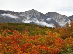 シニアの２０２２年　紅葉の季節ですねっ［２］　白馬（八方尾根自然探求路）