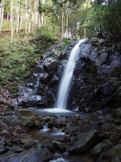 滝メグラーが行く２５２　色づき始めたちくさ高原の紅葉と千種町滝めぐり（２）　兵庫県宍粟市千種町