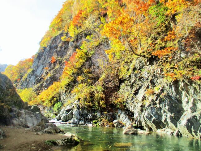 “鮭の遡上と紅葉を見に旅に出るよ”って 友人を誘い　北海道ふたり旅　1日目・千歳川と定山渓